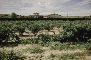 Bodegas Altanza